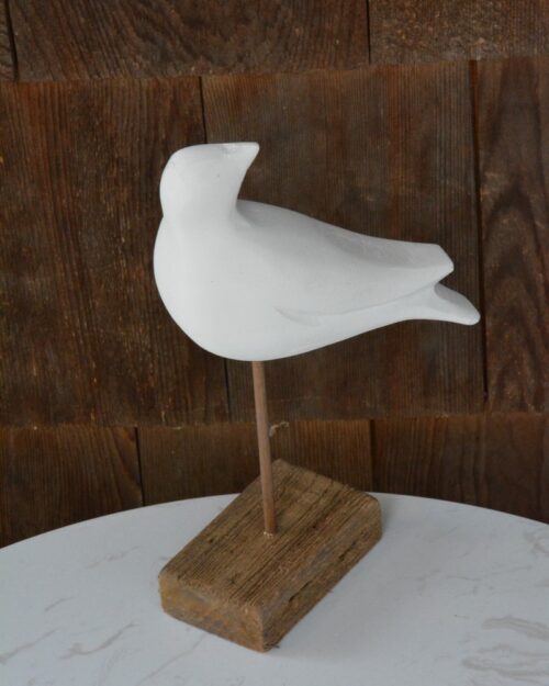 Oiseau de Plage Sur Base A