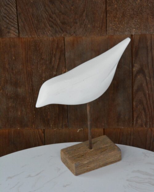 Oiseau de Plage sur Base B