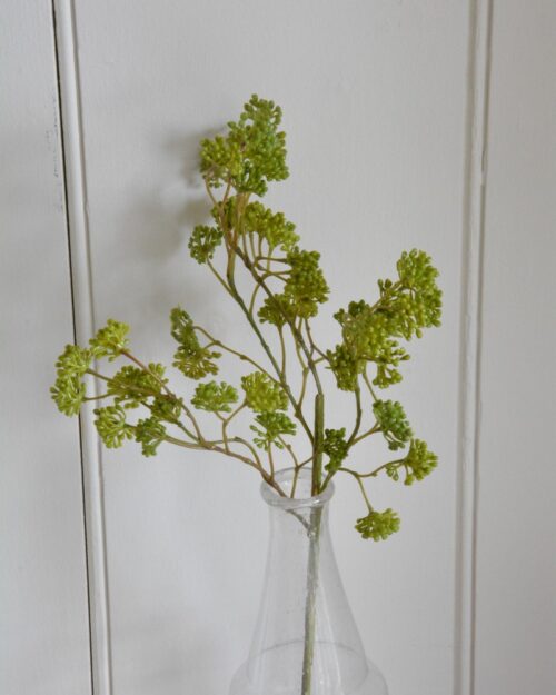 Tige de Sedum 16 po