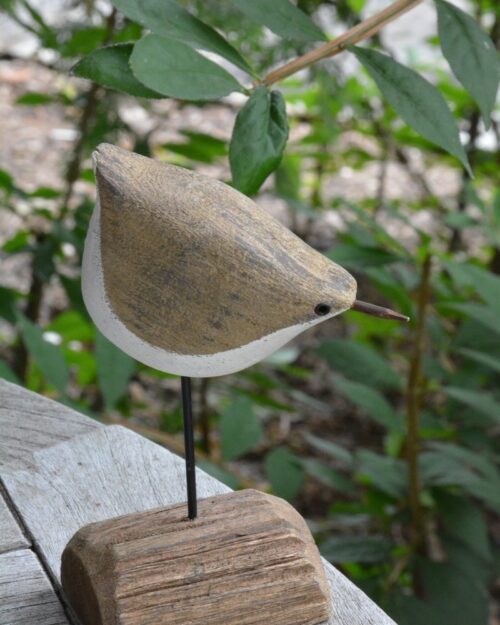 Mouette sur Base P
