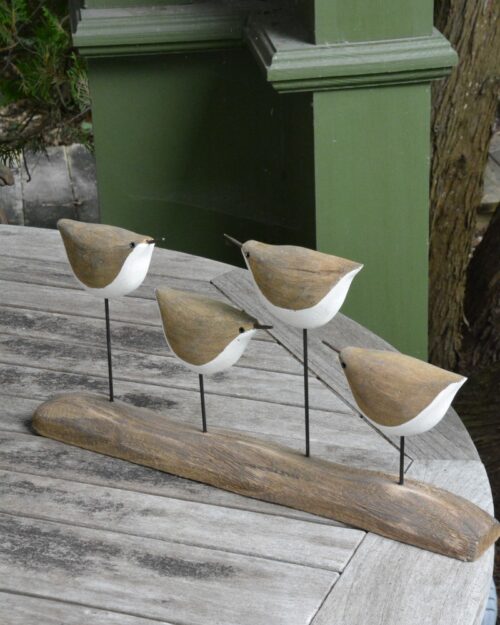 Quatre Oiseaux sur Base
