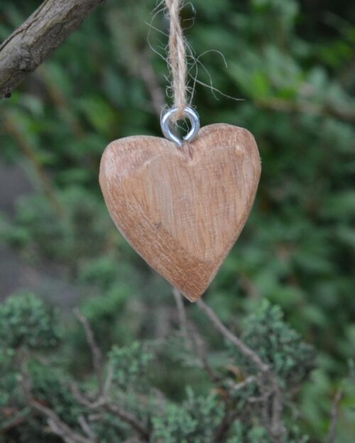 Coeur Naturel sur Corde